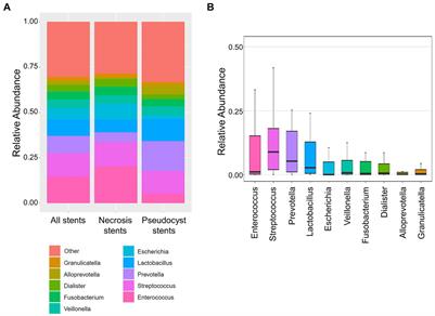 The composition of the stent microbiome is associated with morbidity and adverse events during endoscopic drainage therapy of pancreatic necroses and pseudocysts